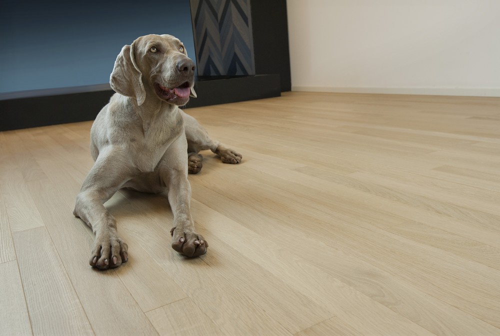 Gessi rovere Habitat (9)