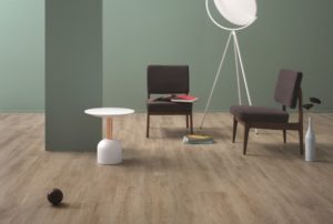 Immagini 3685